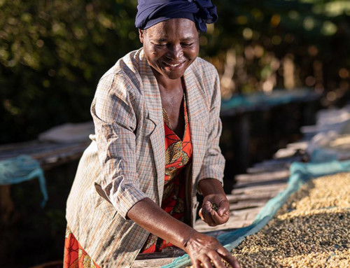 Sustainable Coffee Farming